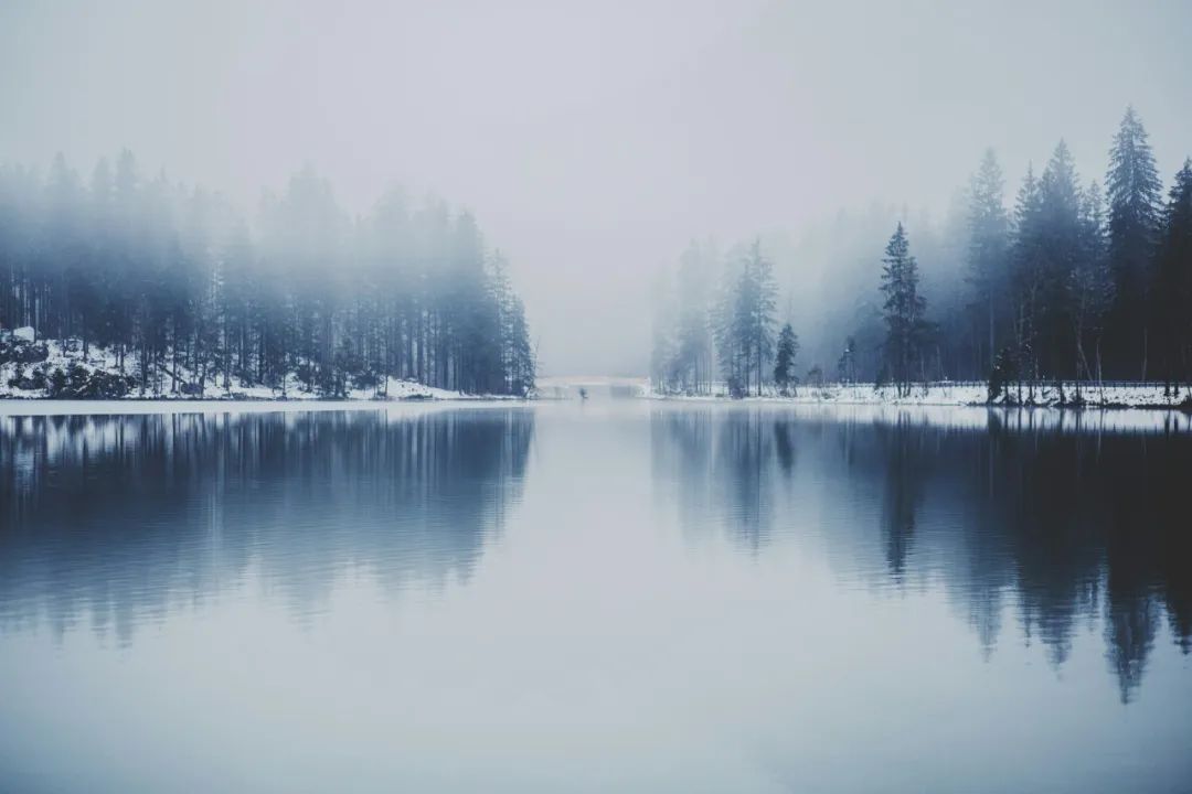 e.jpg