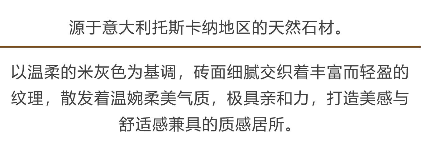 至尊貝諾灰1.jpg
